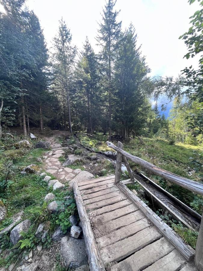 Apartament Rifugetto Marilleva Zewnętrze zdjęcie