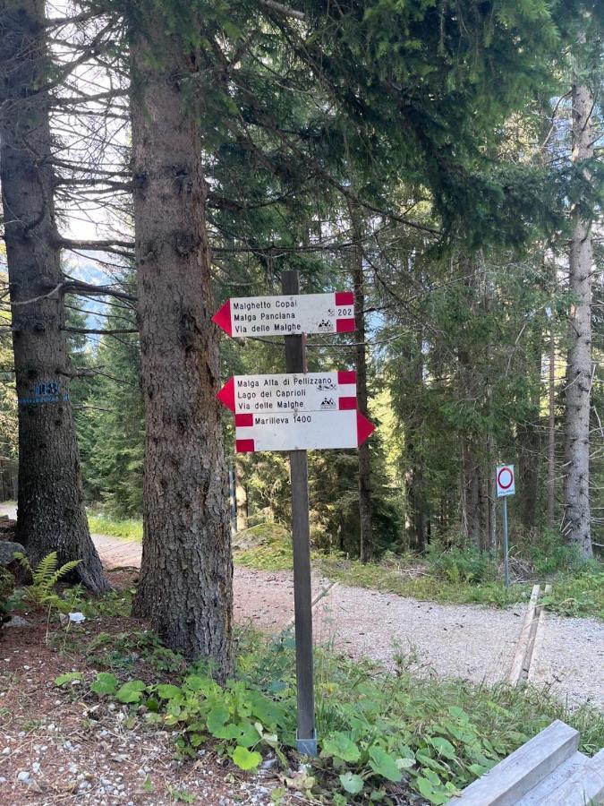 Apartament Rifugetto Marilleva Zewnętrze zdjęcie